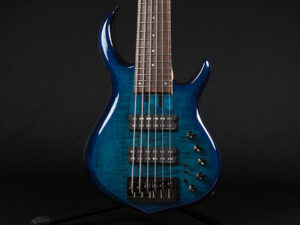 Fender Bacchus Warwick ibanez Fujigen YAMAHA Sadowsky MTD 5弦 5st アクティブ
