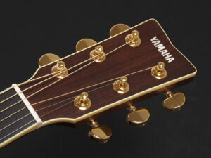 L CPX compass A AC APX エレアコ CPX1000 CPX700 CPX700II 初心者 ドレッドノート LS16 LL6 LS6 fg fs オール単板 日本製 Japan