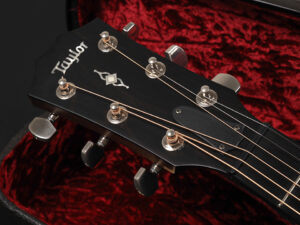 タイラー 314ce 412ce 114ce グランドコンサート GC New yorker 初心者 ビギナー スモール small 女子 女性 00 000 18 28 Grand Concert