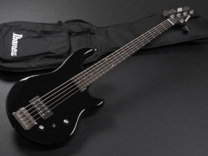 Modulusmusicman Stingray ESP AP Sterling fujigen Sadowsky Fender