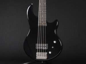 Modulusmusicman Stingray ESP AP Sterling fujigen Sadowsky Fender