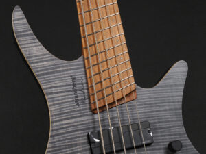 Ibanez EHB Steinberger Spirit headless Dingwall mayones Active