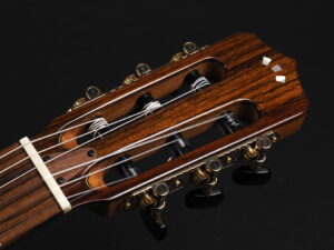 コルドバ ステージ ギター クラシック ガット ナイロン エレガット Nylon Classic ele Gut Godin A6 Duet Acoustasonic Fender Multiac