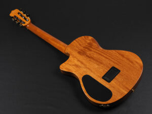 コルドバ ステージ ギター クラシック ガット ナイロン エレガット Nylon Classic ele Gut Godin A6 Duet Acoustasonic Fender Multiac