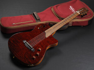 コルドバ ステージ ギター クラシック ガット ナイロン エレガット Nylon Classic ele Gut Godin A6 Duet Acoustasonic Fender Multiac