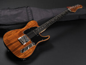 タクティクス T-MASTER テレキャスター TL52 TELECASTER fender Hawaiian ハワイアンコア コア P-90 P90 Ash アッシュ ブラウンバック