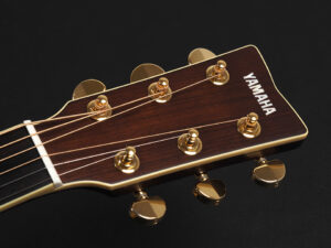 L CPX compass A AC APX エレアコ CPX1000 CPX700 CPX700II 初心者 ドレッドノート LS16 LL6 LS6 fg fs オール単板 日本製 Japan