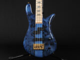 warwick streamer Thumb スペクター スタインバーガー NS Design Limited LTD CL Custom Euro USA Legend