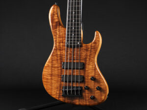 Fender Custom Shop NYC Atelier Z Warwick ESP Lakland Three Dots ML TYO Express J.W.Black Red house