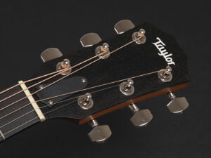 Taylor 210ce Rosewood Plus タイラー 110ce 214ce 2020 ローズウッド DLX RW deluxe エレアコ electric acoustic ES2 初心者 入門 プラス RW ローズ + koa 224 DN