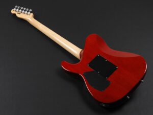 tom Anderson bora ESP シャムシェイド Classic Drop top TL tele T's