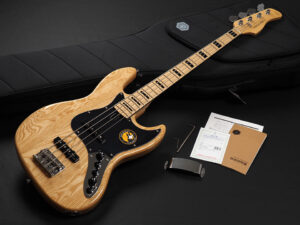 Fender Bacchus Warwick ibanez Fujigen YAMAHA Sadowsky MTD 5弦 5st アクティブ