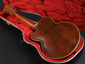 Pat Metheny パット メセニー フルアコ セミアコ ジャズ George Benson GB10 AF AM AS Artcore Expressionist ナチュラル Natural N