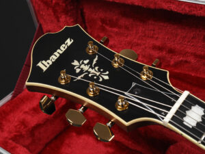 Pat Metheny パット メセニー フルアコ セミアコ ジャズ George Benson GB10 AF AM AS Artcore Expressionist ナチュラル Natural N