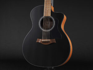 タイラー 112ce 110ce 110e 214ce 212ce サペリ Sapele Rosewood GA GC エレアコ 女性 女子 初心者 ビギナー 子供 小ぶり 小型 限定 limited