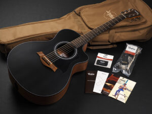 Taylor 112ce LTD Blacktop タイラー 114ce 110ce 110e 214ce 212ce サペリ Sapele Rosewood GA GC エレアコ 女性 女子 初心者 ビギナー 子供 小ぶり 小型 限定 limited