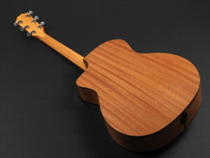 タイラー 112ce 110ce 110e 214ce 212ce サペリ Sapele Rosewood GA GC エレアコ 女性 女子 初心者 ビギナー 子供 小ぶり 小型 限定 limited