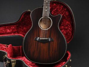 タイラー GA Urban Ash アーバンアッシュ エレアコ bracing 314ce 324ce 514ce 524ce 522ce 322ce 312ce 512ce ビルダーズ エディション