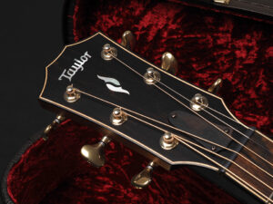 タイラー 714ce 914ce 414ce 812ce Rosewood Deluxe DLX ビルダーズ エディション 514ce 614ce アディロンダック Adirondack スプルース