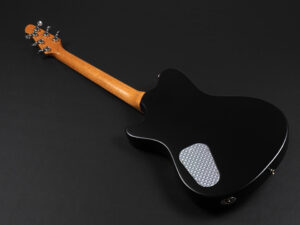 Powers Electric A-Type Select ~Blue Lagoon~ Collings Gibson Custom Shop Gretsch Marchione Nik Huber Soco Murphy