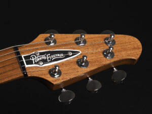 Powers Electric A-Type Select ~Blue Lagoon~ Collings Gibson Custom Shop Gretsch Marchione Nik Huber Soco Murphy