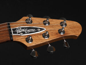 Powers Electric A-Type ~MINT GREEN / FJORD GREEN~ Collings Gibson Custom Shop Gretsch Marchione Nik Huber Soco Murphy