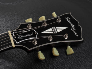 アルバトロス P-90 セミアコ Momose Bacchus Deviser ディバイザー Mojotone ヒノキ 桧 檜 限定品 SP25 Japan Handmade 日本製 ハンドメイド