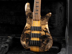 Spector Custom Shop NS-5 Buckeye Burl/Flame Maple warwick streamer euro Fodera thumb Ken Smith Sadowsky Aguilar mayones