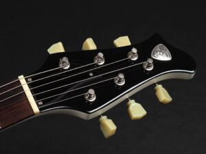 history Coolz Fujigen Fgn フジゲン 日本製 国産 MIJ Made in Japan グラフィック Artist アーティスト