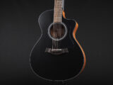タイラー 114ce 110ce 110e 214ce 212ce サペリ Sapele Rosewood GA GC エレアコ 女性 女子 初心者 ビギナー 子供 小ぶり 小型 限定 limited