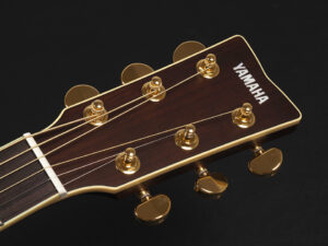 LL6 LS-6 LS16 LL16 CPX L series fg fs compass A AC APX エレアコ 初心者 入門 ビギナー 女子 ナチュラル NT NAT fork シニアNT NAT 