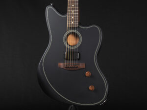 American アコースタソニック Player ジャズマスター スタンダード エレアコ Godin A6 Billie Eilish 常田大希 miyavi King Gnu taylor T5