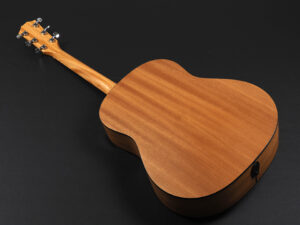 Taylor 117e LTD Blacktop タイラー 112ce 110ce 110e 214ce 212ce サペリ Sapele Rosewood GA GC エレアコ 女性 女子 初心者 ビギナー 子供 小ぶり 小型 限定 limited
