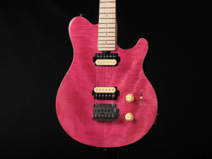 ヴァン ヘイレン Van Halen PEAVEY EVH Musicman Axis Wolfgang ウルフギャング B'z 松本孝弘 TAK Matsumoto