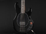 Stingray Alpha Omega Darlglass Ray34 Ray4 USA B3k B7k スティングレイ Active アクティブ