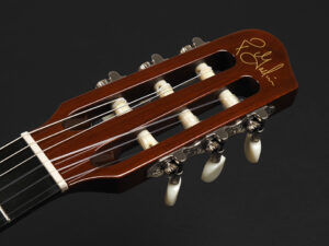 Godin ACS SA 2014 White Limited ゴディン ultra Encore Duet Nylon Classic スリム thin body エレガット クラシック Grand Concert Multiac Duet Ambiance