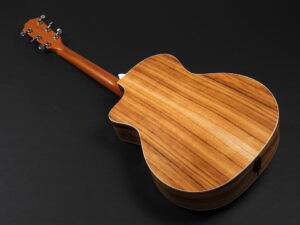 タイラー 214ce 314ce Koa Hawaiian Rosewood ハワイアンコア DLX deluxe エレアコ electric acoustic ES2 初心者 女子 女性 2017