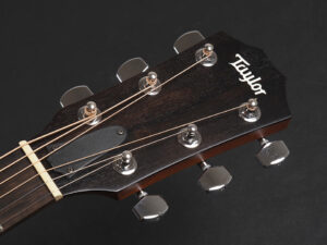 タイラー 214ce 314ce Koa Hawaiian Rosewood ハワイアンコア DLX deluxe エレアコ electric acoustic ES2 初心者 女子 女性 2017