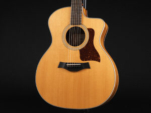 タイラー 214ce 314ce Koa Hawaiian Rosewood ハワイアンコア DLX deluxe エレアコ electric acoustic ES2 初心者 女子 女性 2017