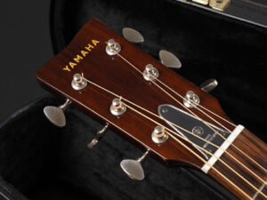 YAMAHA FG180-50TH ~Natural~ フォーク 140 110 150 RED Label 赤 ラベル Vintage anniversary 限定 LTD Limited Edition nakamoto terry A.R.E. FS