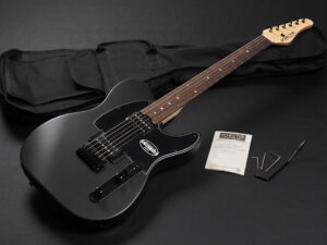 SCHECTER OL-PT-2H-VTR ~Satin Black Metalic~ シェクター TELECASTER TELE TL TE Custom CTM made in Japan ジャパン 国産 日本製 Progauge プロゲージ Diamond ダイアモンド USA
