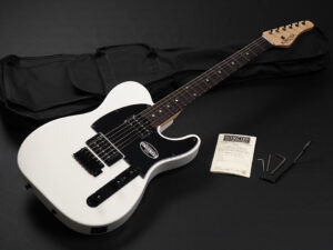 SCHECTER OL-PT-2H-VTR ~Snow White~ シェクター TELECASTER TELE TL TE Custom CTM made in Japan ジャパン 国産 日本製 Progauge プロゲージ Diamond ダイアモンド USA