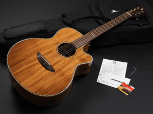 DCT GR-645K CE ~Natural Gloss~ ディーシーティー Takamine yamaha 初心者 入門 女性 女子 エレアコ hawaiian koa コア材 ハワイアンコア 小型 小ぶり 000 OOO OM VR-640K 300CE