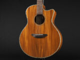 ディーシーティー Takamine yamaha 初心者 入門 女性 女子 エレアコ hawaiian koa コア材 ハワイアンコア 小型 小ぶり 000 OOO OM VR-640K 300CE