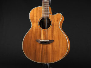 ディーシーティー Takamine yamaha 初心者 入門 女性 女子 エレアコ hawaiian koa コア材 ハワイアンコア 小型 小ぶり 000 OOO OM VR-640K 300CE