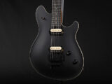 ヴァンヘイレン エディ Edward Van Halen Eddie PEAVEY Musicman Axis 5150 Friedman Brown ウルフギャング Kramer クレーマー