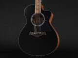 タイラー 114ce 110ce 110e 214ce 212ce サペリ Sapele Rosewood GA GC エレアコ 女性 女子 初心者 ビギナー 子供 小ぶり 小型 限定 limited