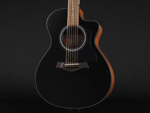タイラー 114ce 110ce 110e 214ce 212ce サペリ Sapele Rosewood GA GC エレアコ 女性 女子 初心者 ビギナー 子供 小ぶり 小型 限定 limited