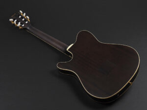 Ibanez TOD10N-TKF ~Transparent Black Flat~ 薄胴 薄型 Acoustasonic Nylon ガット エレガット ナイロン弦 クラシック FRH20SMN FRH10N サウンドポート Tim Henson ティム ヘンソン Fishman