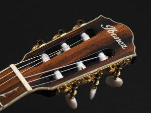 Ibanez TOD10N-TKF ~Transparent Black Flat~ 薄胴 薄型 Acoustasonic Nylon ガット エレガット ナイロン弦 クラシック FRH20SMN FRH10N サウンドポート Tim Henson ティム ヘンソン Fishman